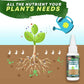🥳2026 HOT SALE🥳💞50K+ SOLD!🥬🌻 BUY 1 GET 1 FREE! Organic Plant Nutrient – Essential minerals & amino acids. Healthier plants, happier balcony garden. 🏡💚