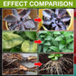 🥳2026 HOT SALE🥳💞50K+ SOLD!🥬🌻 BUY 1 GET 1 FREE! Organic Plant Nutrient – Essential minerals & amino acids. Healthier plants, happier balcony garden. 🏡💚