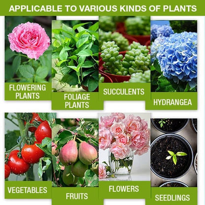 🥳2026 HOT SALE🥳💞50K+ SOLD!🥬🌻 BUY 1 GET 1 FREE! Organic Plant Nutrient – Essential minerals & amino acids. Healthier plants, happier balcony garden. 🏡💚