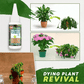 🥳2026 HOT SALE🥳💞50K+ SOLD!🥬🌻 BUY 1 GET 1 FREE! Organic Plant Nutrient – Essential minerals & amino acids. Healthier plants, happier balcony garden. 🏡💚