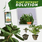 🥳2026 HOT SALE🥳💞50K+ SOLD!🥬🌻 BUY 1 GET 1 FREE! Organic Plant Nutrient – Essential minerals & amino acids. Healthier plants, happier balcony garden. 🏡💚