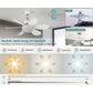 2-IN-1 DRAAGBARE PLAFONDVENTILATOR & LAMP met afstandsbediening