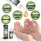 🥳2026 HOT SALE🥳💞50K+ SOLD!🥬🌻 BUY 1 GET 1 FREE! Organic Plant Nutrient – Essential minerals & amino acids. Healthier plants, happier balcony garden. 🏡💚