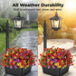 💐50% OFF ! Wrought Iron Solar Light – Retro Style & All-Weather 💡🌿