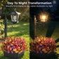 💐50% OFF ! Wrought Iron Solar Light – Retro Style & All-Weather 💡🌿