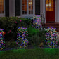 🔥2026 New Arrival🔥Solar Powered Outdoor Decor Lights – Beautiful Garden & Pathway Ambiance