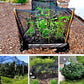 🦟 50% OFF NOW! 🌿 Insect Netting Mesh for Garden & Patio Protection – Fine weave & durable – Keeps bugs out, lets air in – perfect for plants, porches or outdoor dining 🪴